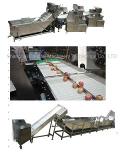 Quality Stainless Steel 304 Dried Fruit Processing Equipment ISO9001 Certification wholesale