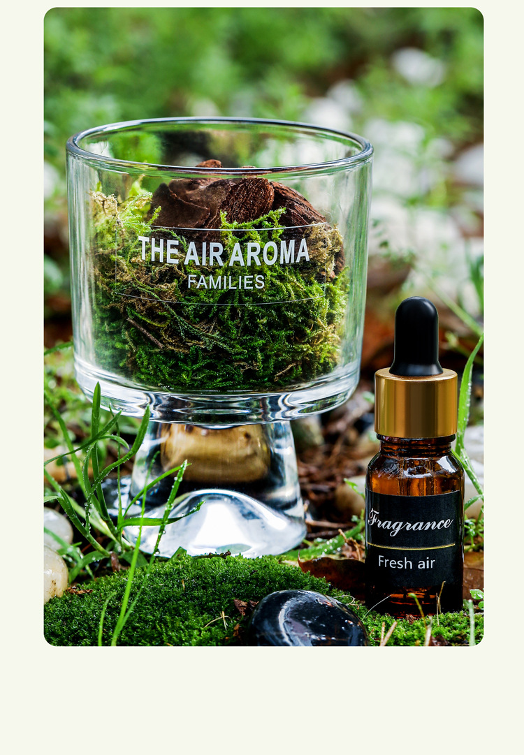 Customized Color Luxury 100ml Moss Reed Diffuser Set with Nature-Inspired Scented Oil