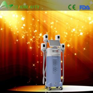 Quality Hot Selling Slimming Beauty cryolipolysis fat freezing machine wholesale