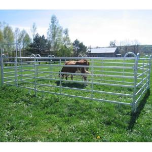 Quality Pressure Treated Wood Type Heat Treated Metal Farm Fence for Cattle Rail Field Fence wholesale