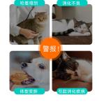 Health-Focused Slow Feeder Bowls - Ideal for Cats and Small Dogs