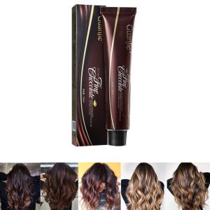 Quality Fashion Brown Chocolate Chestnut Balayage Hair Dye for Salon Hair Color by OEM ODM wholesale