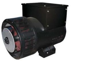 Quality Detzu Genset Double Bearing Alternator 3 Phase 32kw 40kva Self-excited wholesale