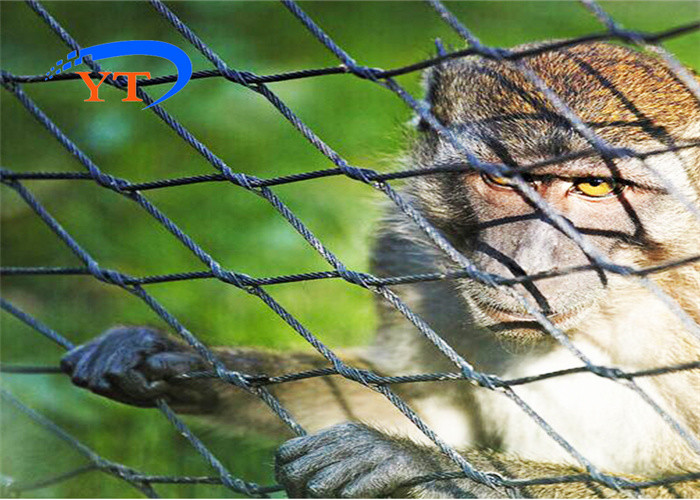 Recyclable Stainless Steel Woven Wire Mesh 30x30mm For Bird Cages 7x19