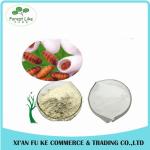 Factory Supply Best Price Silkworm Pupa Protein Powder