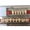 Buy cheap Fake Resin Teeth Composite Resin Denture Teeth Top Hard 3 Layers from wholesalers