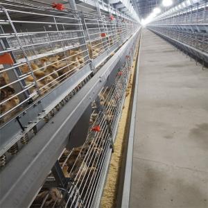 Quality Baby Chicks Battery Cage Poultry Drinking System wholesale