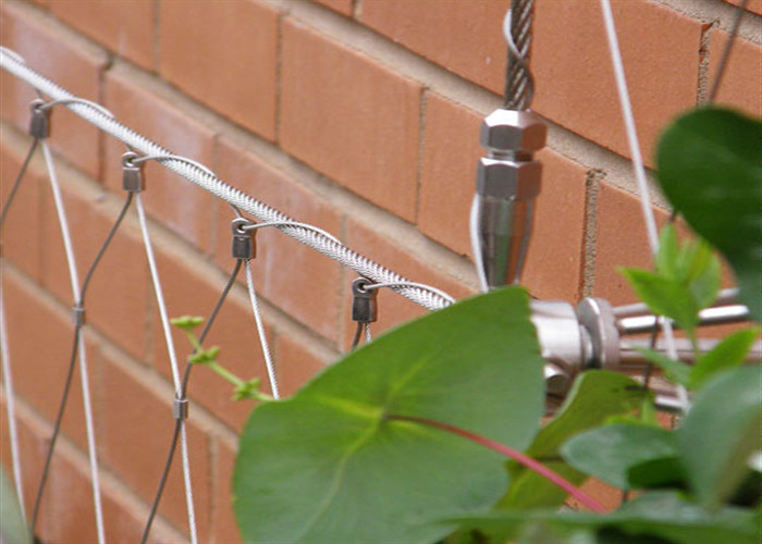 Rhombus 1 X 19 Stainless Steel Rope Mesh 1.6mm Green Wall For Outdoor