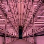 Ventilation fan 40ft Container Greenhouse for Advanced Plant Growth