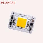AC220V 50W COB LED For Downlight