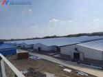 Fully Automatic Poultry Farm Equipment , Galvanized Poultry Farm Layer Cage