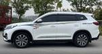 Tiggo 8 2020 290TGDI Automatic Luxury Edition Chery Automobile Mid-size SUV 1.6T