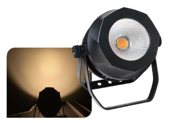 Park Building Outdoor COB LED Par Can Lights IP65 100 Watt LED Stage Wash