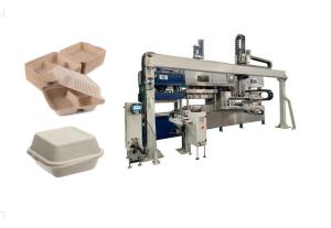 Quality Biodegradable Takeaway Food Container Pulp Molded Equipment wholesale