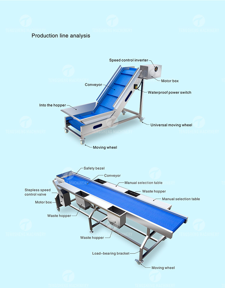 Automatic Fruit And Vegetable Processing Line Selection Washing Drying