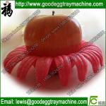 EPE/PE/Plastic pan foam tray for fruit packing