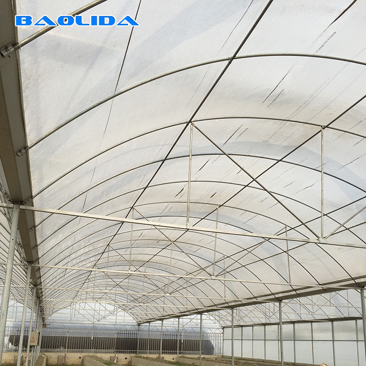 Garden Commercial Multi Span Greenhouse For Vegetable Stable Performance