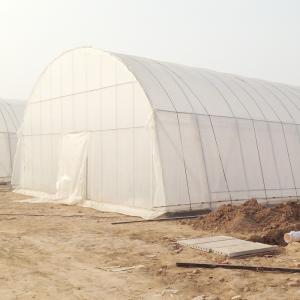 Quality Stable Structure Agricultural and Commercial Tunnel Greenhouse wholesale