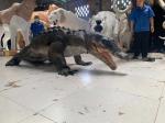 Interactive Realistic Crocodile Costume For Amusement Park