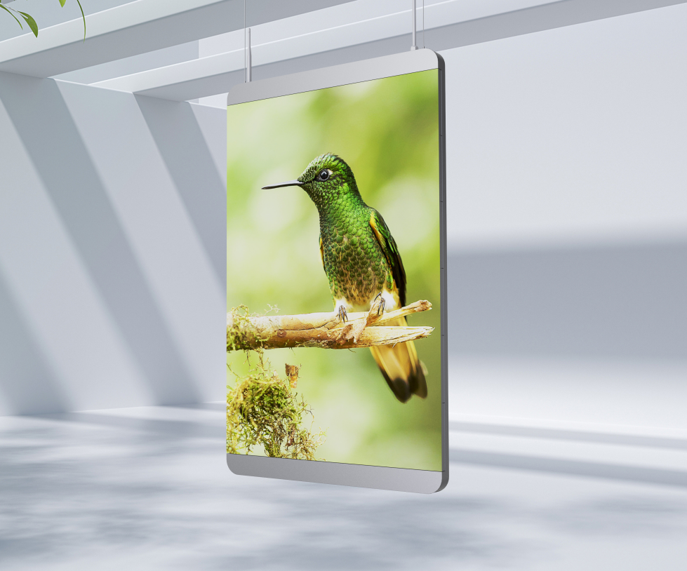 Indoor WiFi 4G USB LED Poster Screen P2.5 P3 P4 P5 Fashion Design