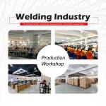 Industrial Heavy Duty DC Inverter TIG / MMA Welding Machines TIG400IJ