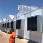 Plastic Film Blackout Greenhosue Light Dep Hemp Automated Blackout Greenhouse