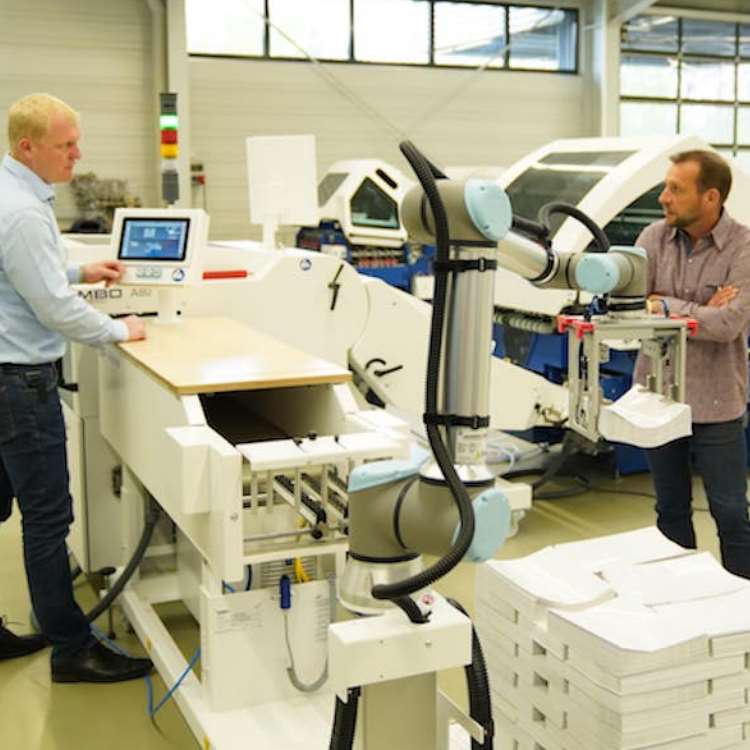 Palletizing Robot With Robot Arm 6 Axis Of UR10e Payload 10kg Reach 1300mm For Packing Line