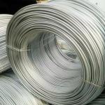 5.5mm Galvanized Steel Wire Rope Nylon PA12 Coated Galvanized Iron Wire