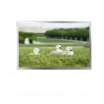 15.6 Inch Lcd Panel Small 40 Pin Connector Outdoor Screen Monitor
