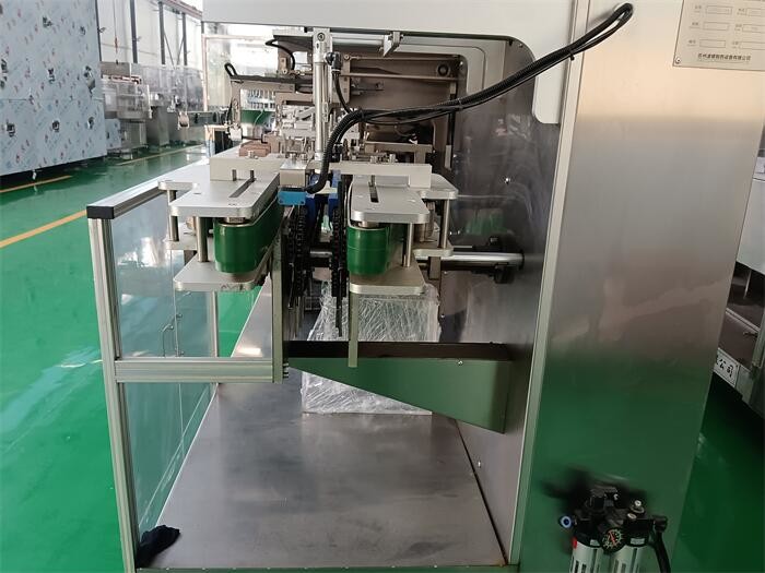 High Speed 80BPM Pharma Cartoning Machine for Blister Packs Auto Loading, GMP Compliance and Precision Alignment