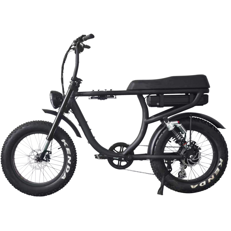 1000W Dual Battery Step Through Electric Retro Motorcycle Fat Bike with 80-90 Nm Torque