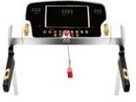 Motorized Treadmill