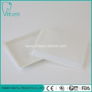 Quality 20.6x15.5cm Dental Plastic Tray Inside Unseparated Spot Surface wholesale