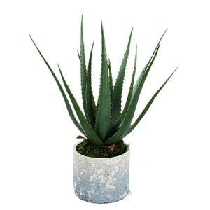 Quality Customizable Landscape 23CM Artificial Potted Floor Plants Green Aloe Garden Decoration wholesale