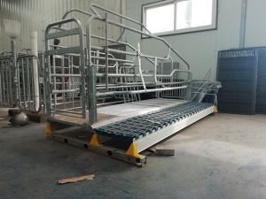 Quality Excellent Durability Pig Farrowing Crate Dairy Farm Livestock Equipment wholesale