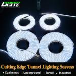 High Temperature Resistant Waterproof IP68 Flexible LED Strip Lights Silicone