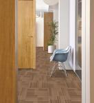 Magnetic Floor
