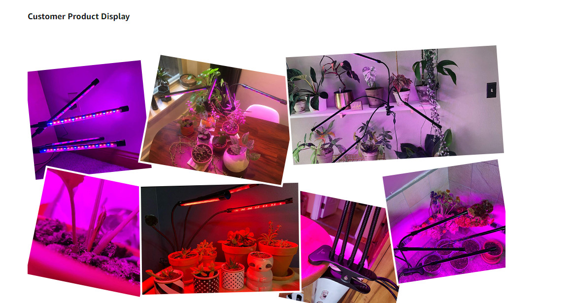 3W 3535 XPG Package 380nm LED Grow Light Chip