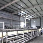 95KW Fresh Noodle Production Line Plant Machinery Dongfang