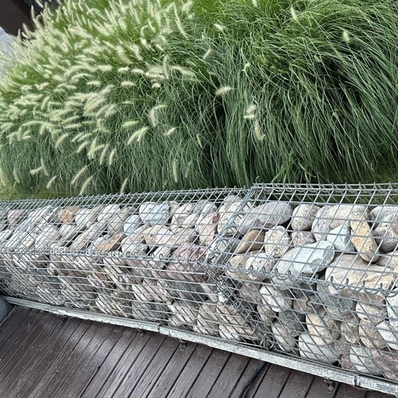 Fence Mesh PVC Coated Galvanized 2x1x1 Gabion Box Basket 80x100mm for Garden Decoration