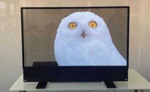 Quality customized Ultra Thin OLED Transparent Display For indoor Advertising wholesale