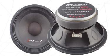 8inch 10inch Car Door Subwoofer , Low Profile Subwoofer Customized 4 Ohms