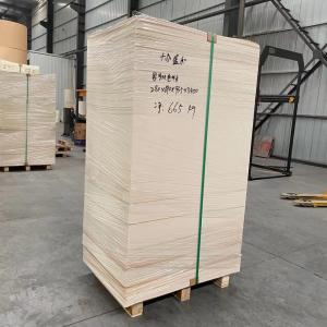 Quality 165gram 185gram Paper Cup Sheet Paper Cup Making Raw Material wholesale