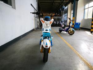 Quality ON SALE 800 Watt Electric Road Scooter Lead Acid DC Brushless Motor wholesale