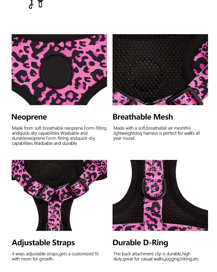 Custom Print Pattern Designer Soft Padded Dog Harness Set with Adjustable Vest Collar Leash and Bow Bandana in Various Colors