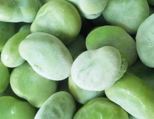 Quality High Grade IQF Frozen Vegetables , Whole / Split Flash Frozen Peeled Broad Beans wholesale