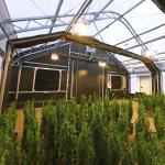 Single Span Pc Board Greenhouse Automated Light Dep Blackout For Cannabis