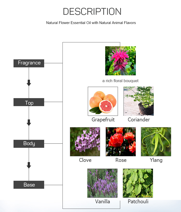 Hotel Natural Aromatherapy Oils / Electric Scent Diffuser Pure Aromatherapy Oils