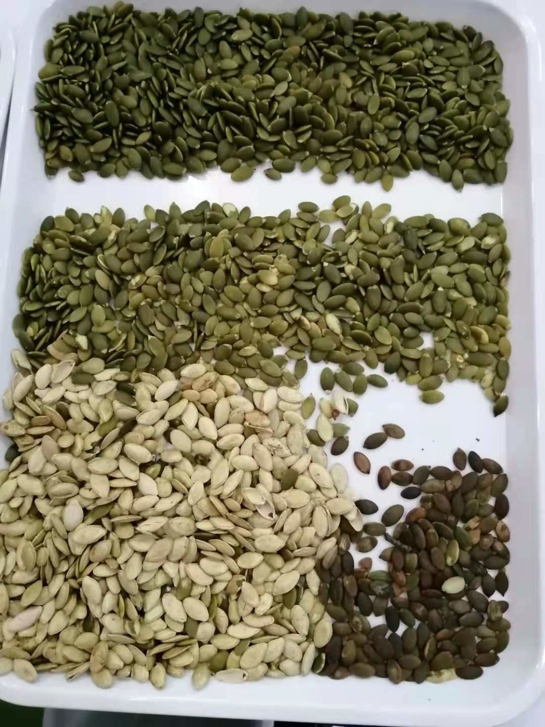 Intelligent Pumpkin Seeds Color Sorting Machine Sesame Watermelon Seed Color Sorter