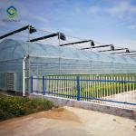Flowers Planting Clear Film 9m Multi Span Greenhouse Sturdy Stable